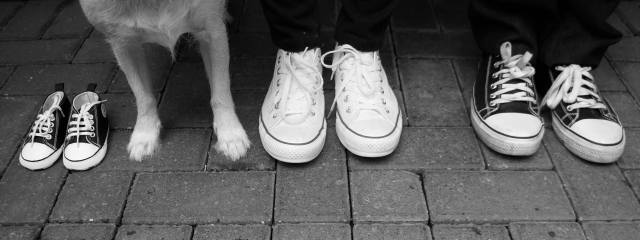 12525629_10153893007626826_8317402605976090248_o