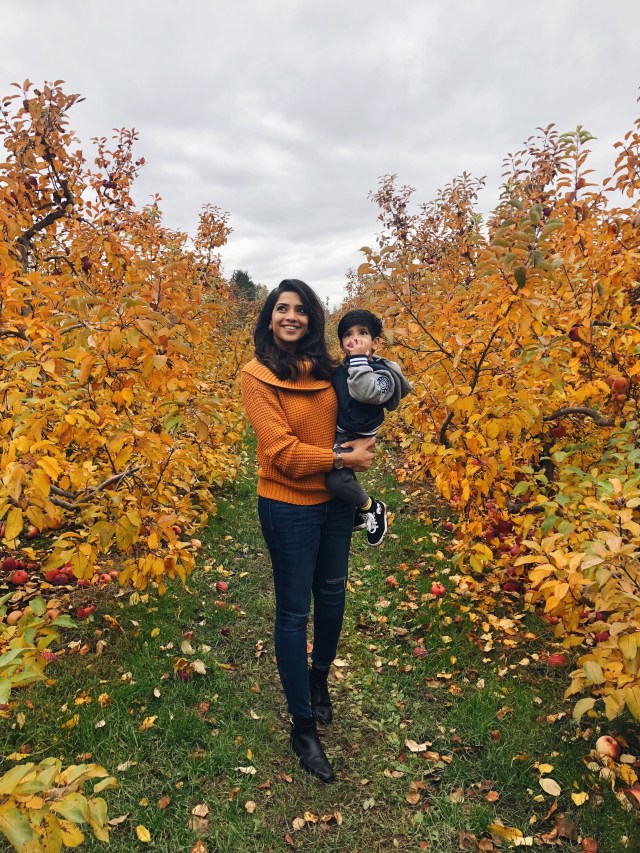 9d5bfdd8-6705-4613-99f3-e4070dee4106