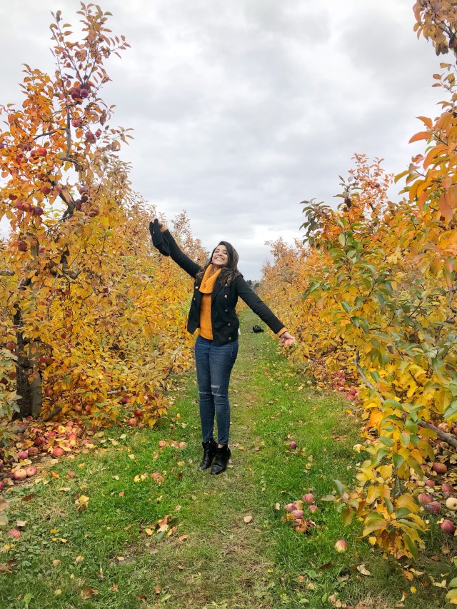 img_5186_facetune_09-11-2018-18-40-05